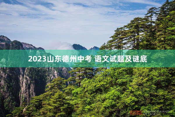 2023山东德州中考 语文试题及谜底