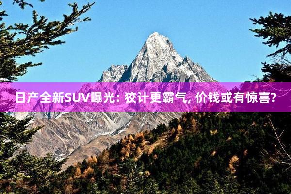 日产全新SUV曝光: 狡计更霸气, 价钱或有惊喜?